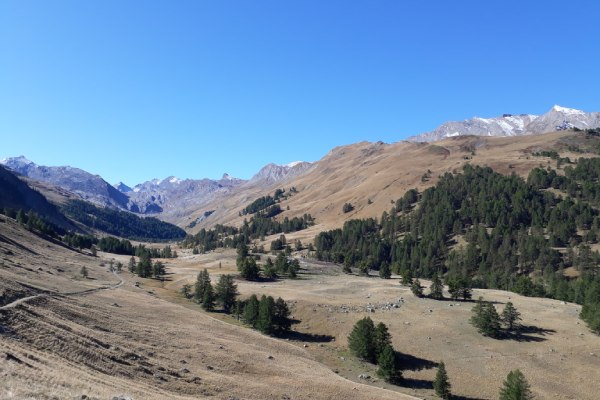 vallon du lauzannier